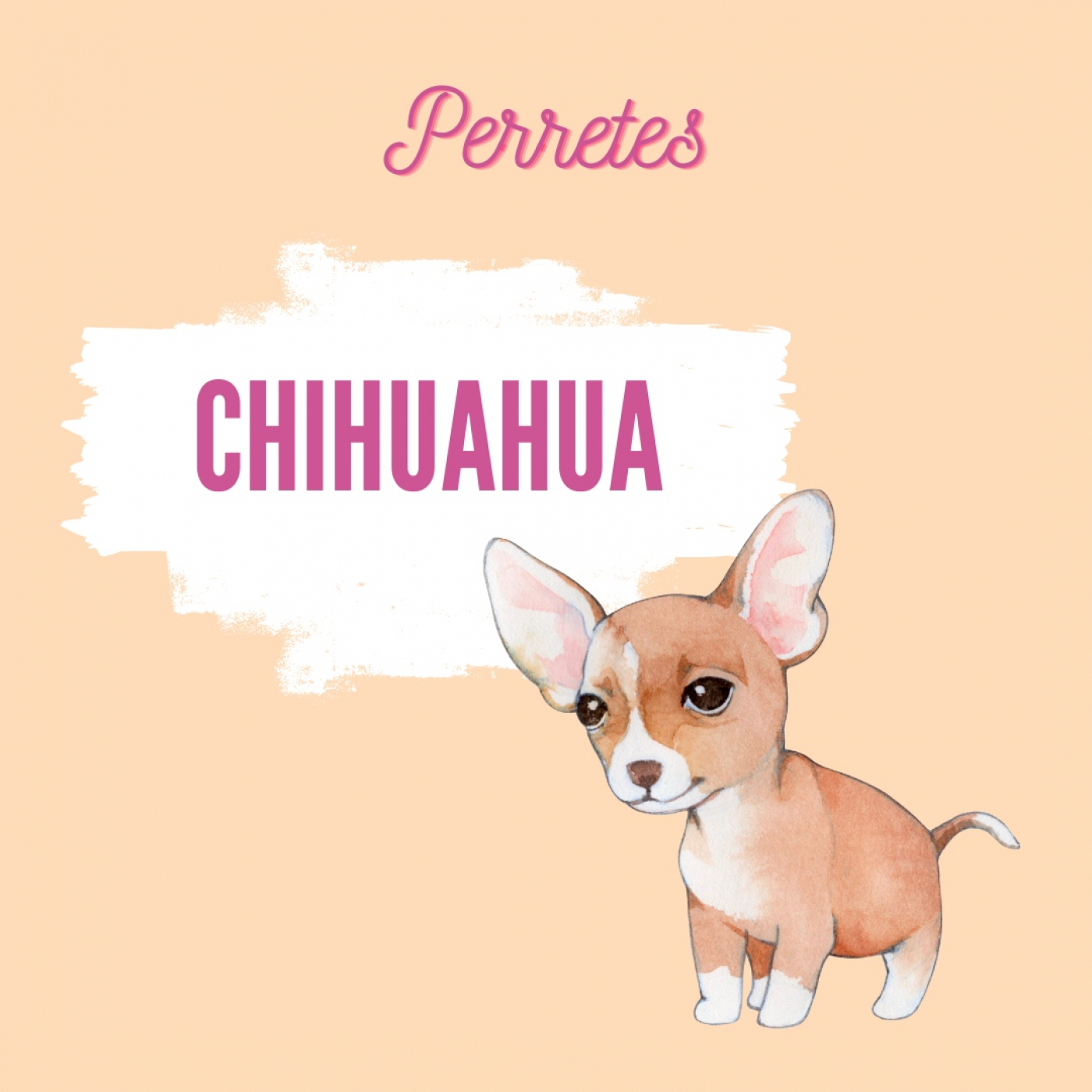 Perretes | Las razas de perros
