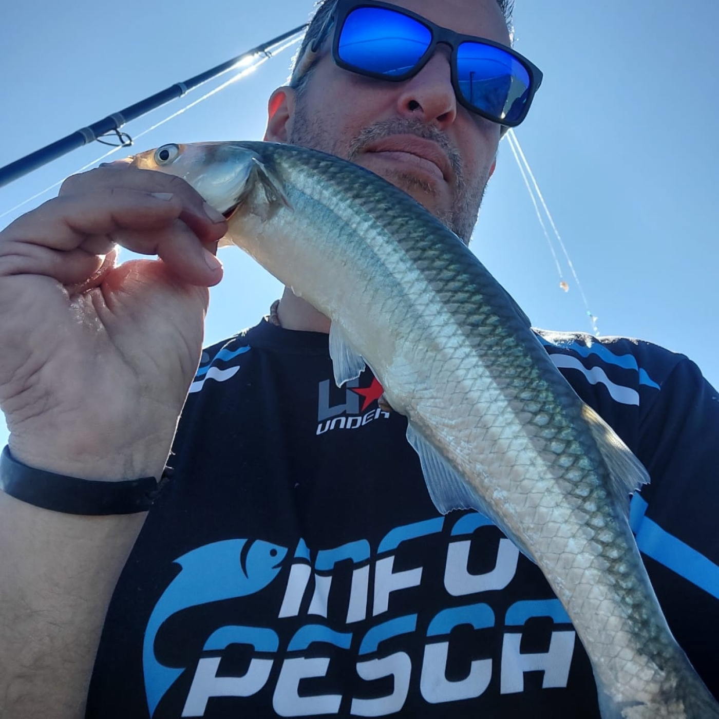 INFOPESCA MDQ