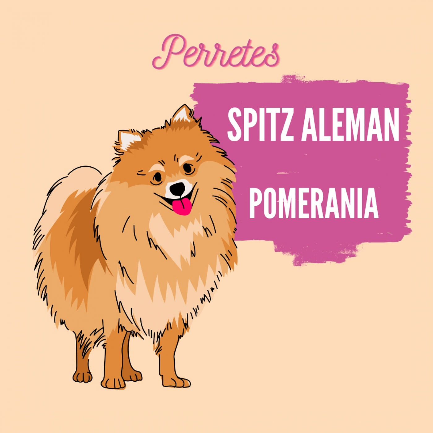 Perretes | Las razas de perros