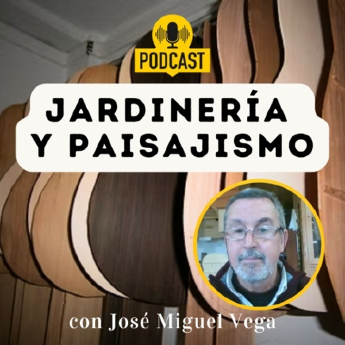 # 352 – Árbol del paraíso y las guitarras – entrevista José Miguel Vega