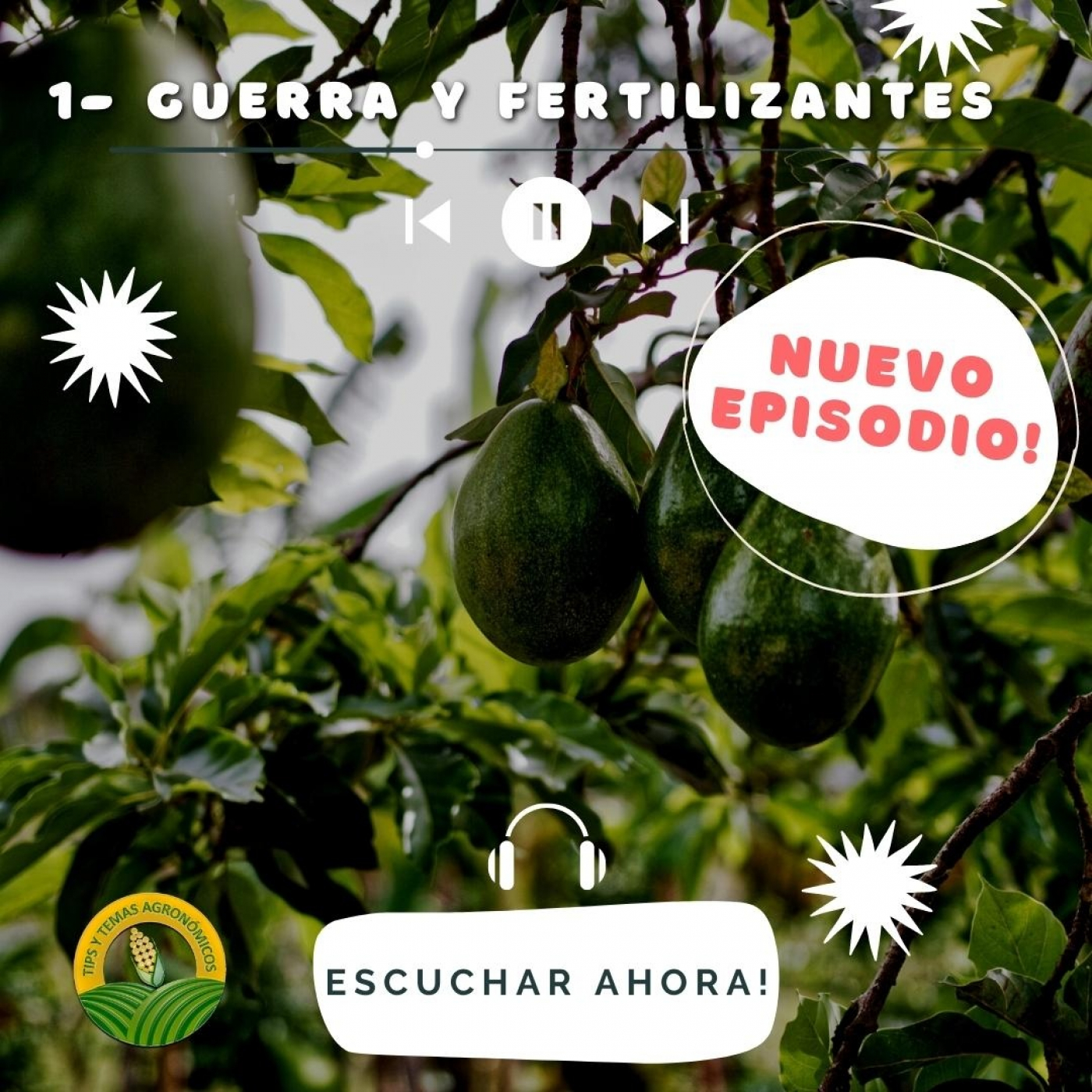 La guerra y el precio de los Fertilizantes
