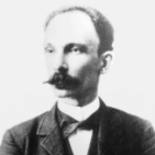 embed image