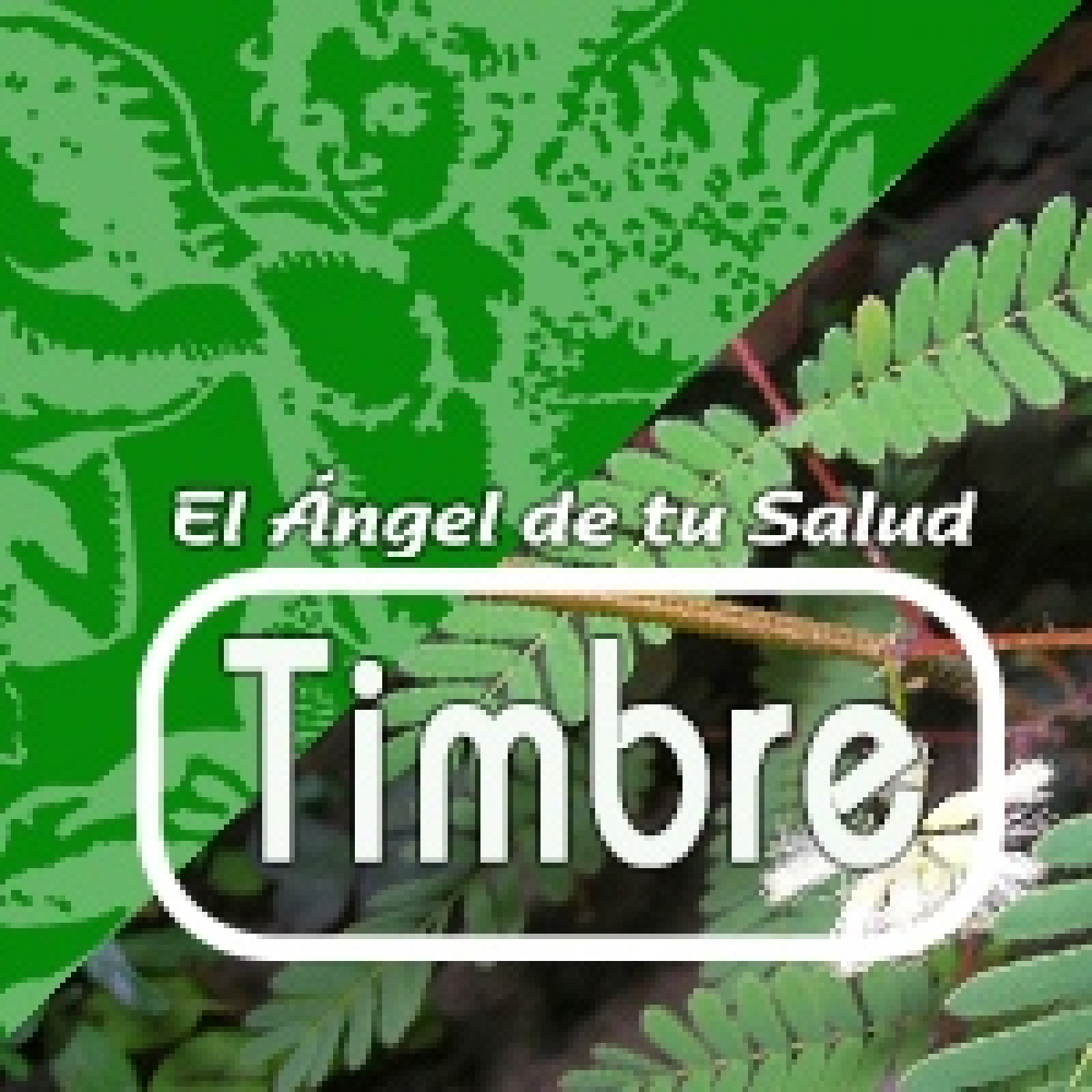 El Ángel de tu Salud - TIMBRE**