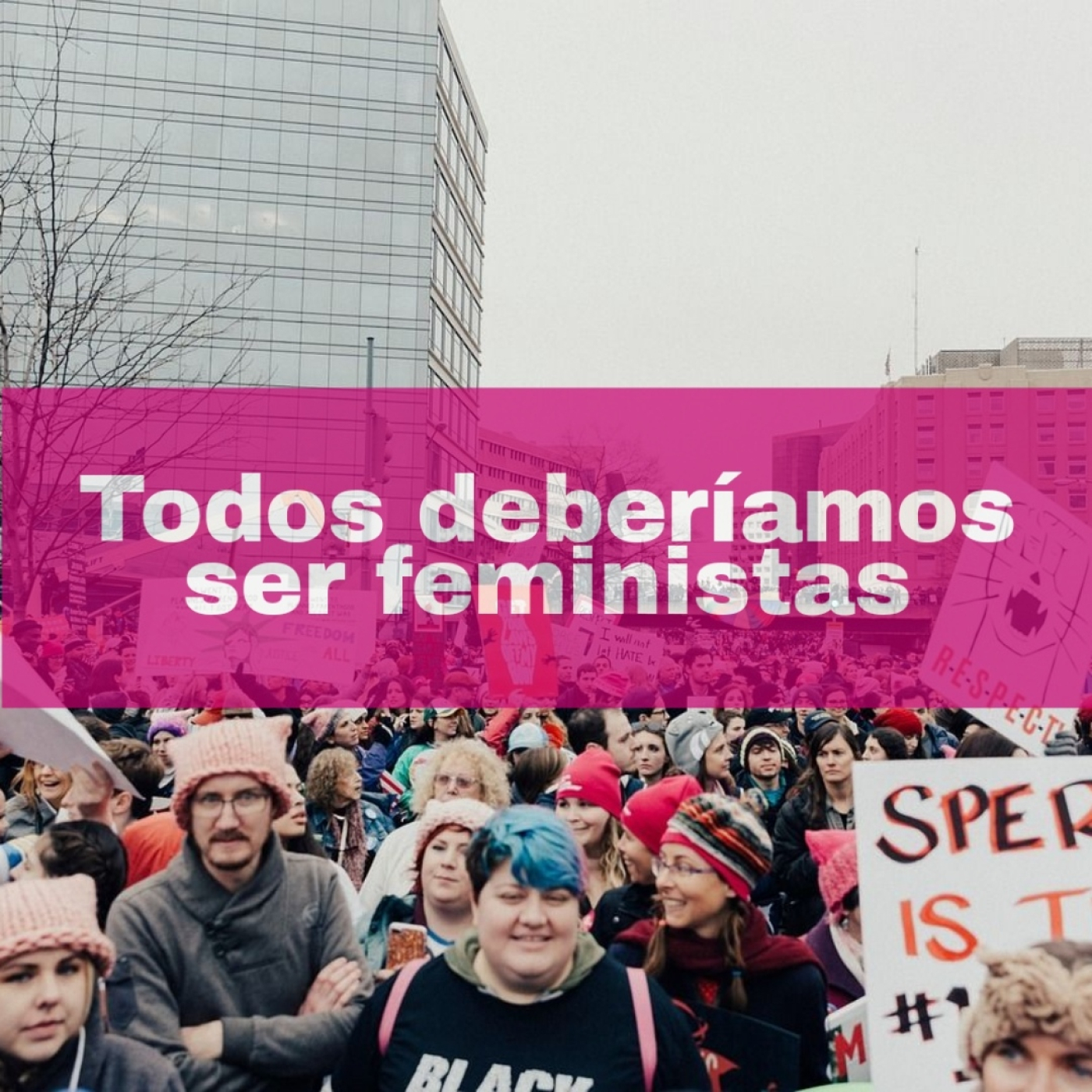 Todos deberíamos ser feministas - Libros Top G