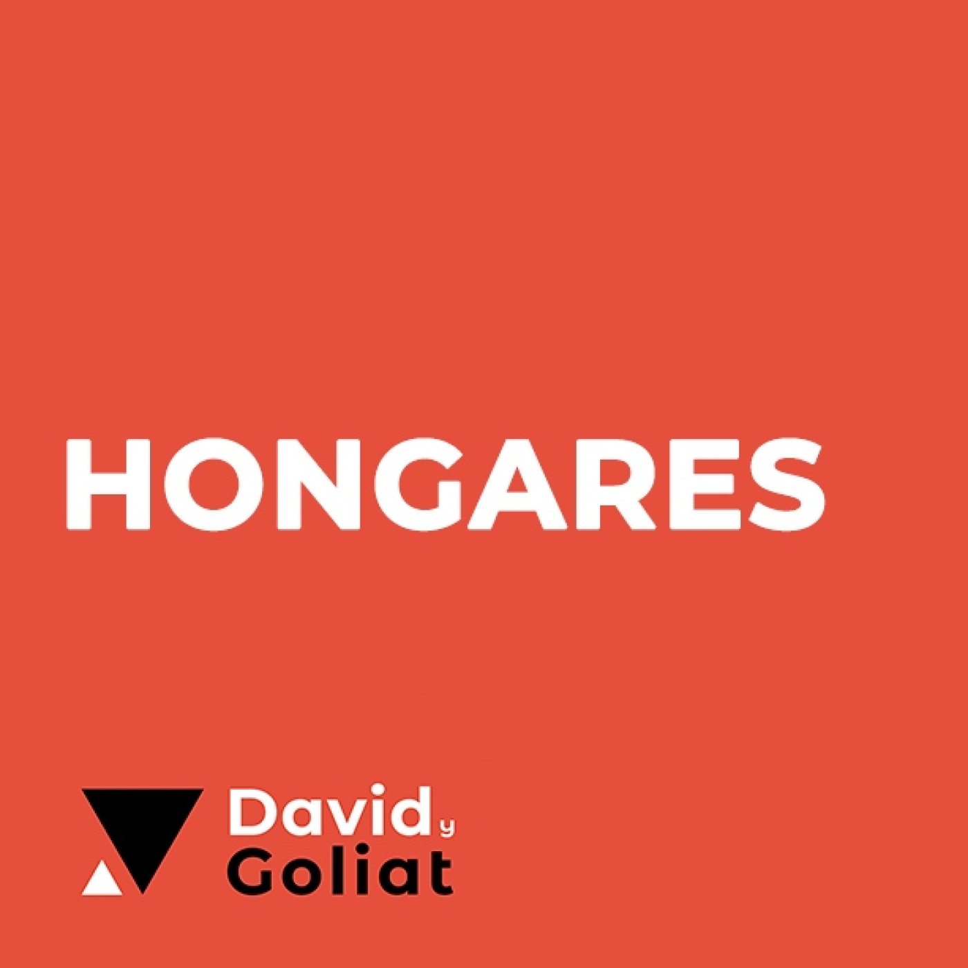 Capítulo 14 - Hongares - La inmobiliaria especializada en alquileres para inmigrantes episode artwork