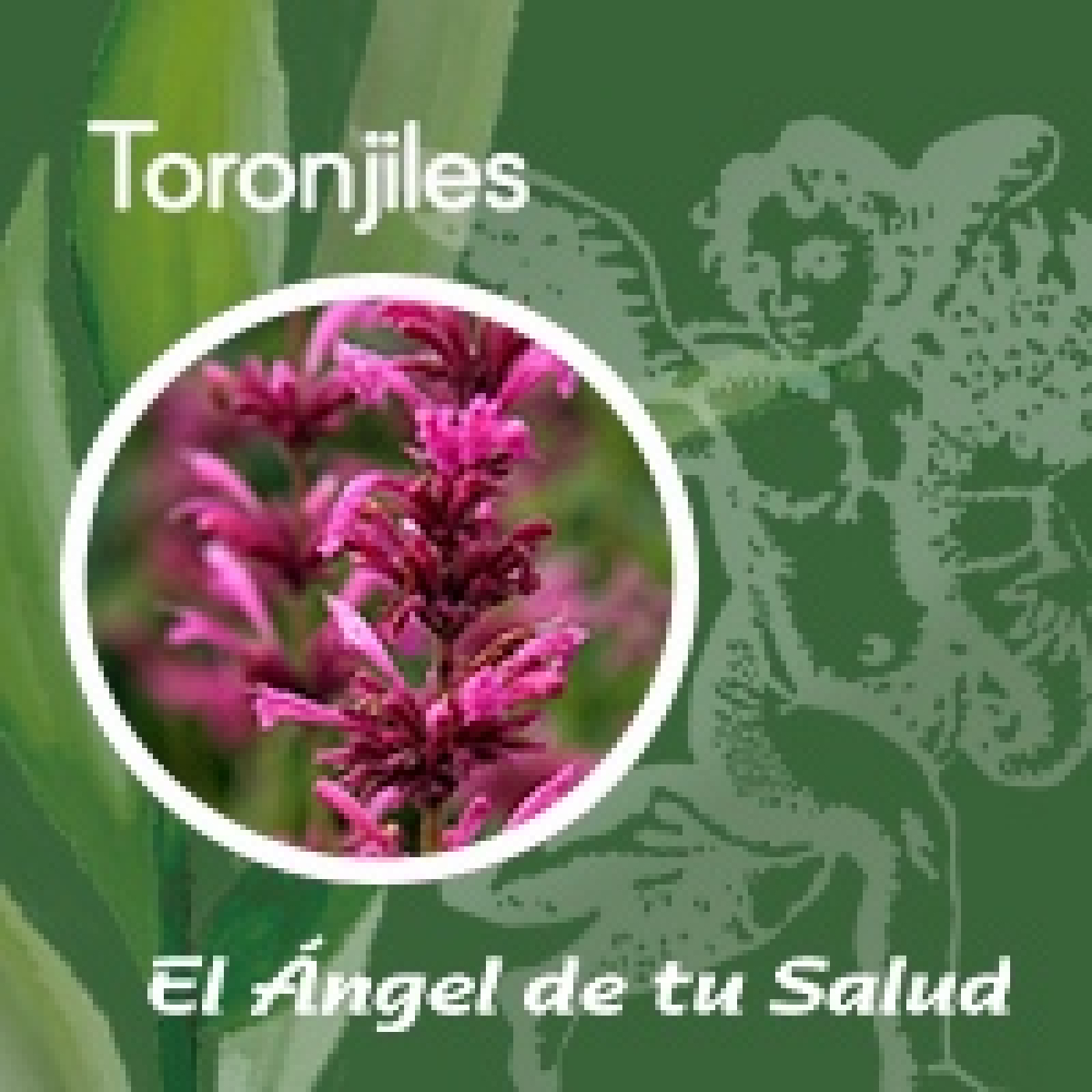 El Ángel de tu Salud - Toronjiles** episode artwork