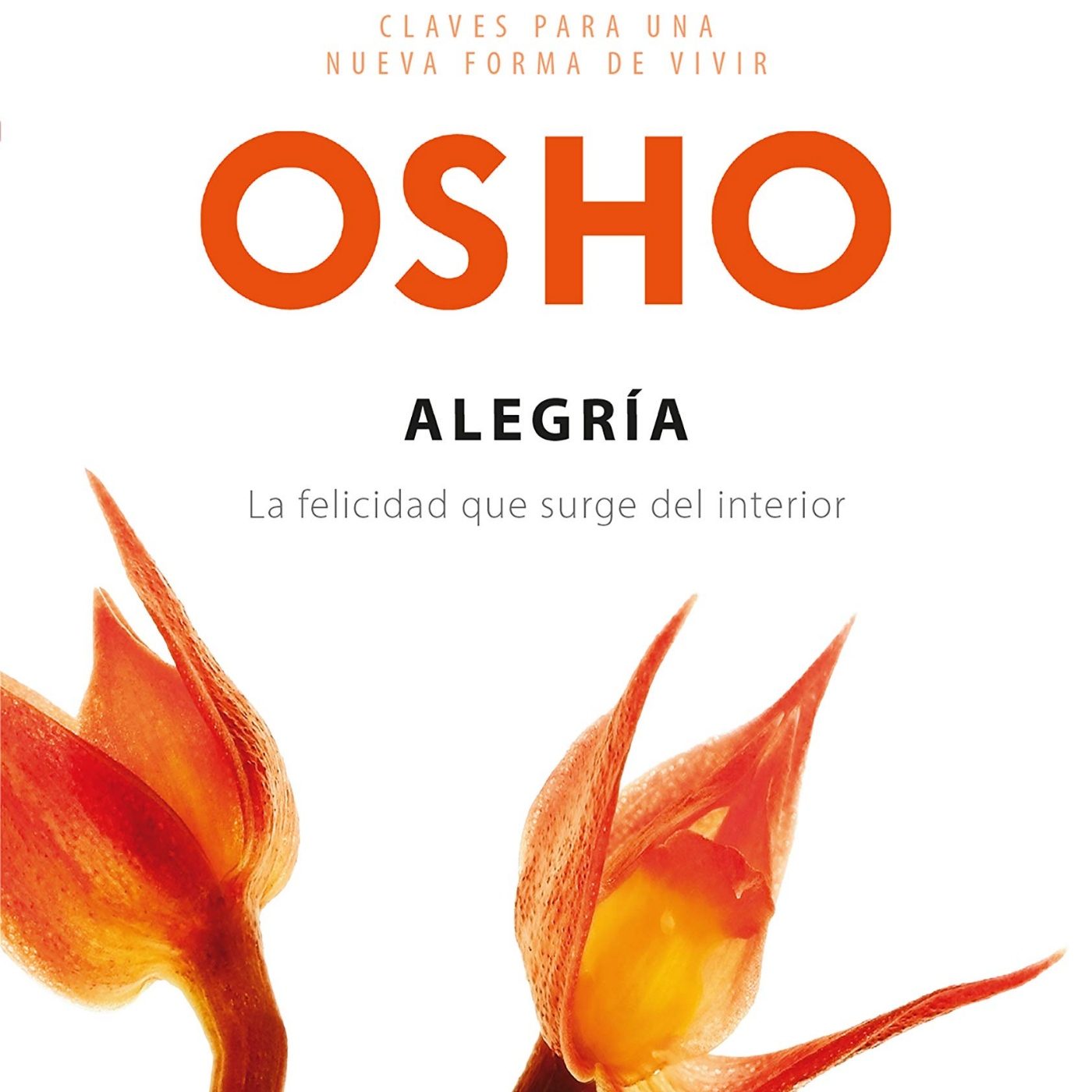 Disfrutando Leyendo