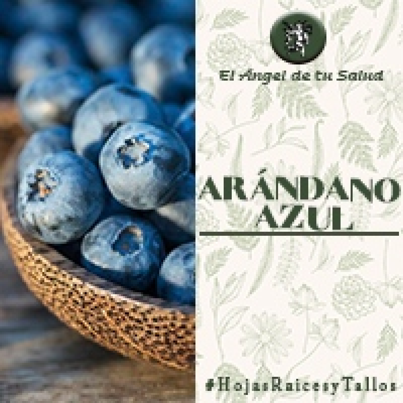El Ángel de tu Salud - Arándano Azul** episode artwork