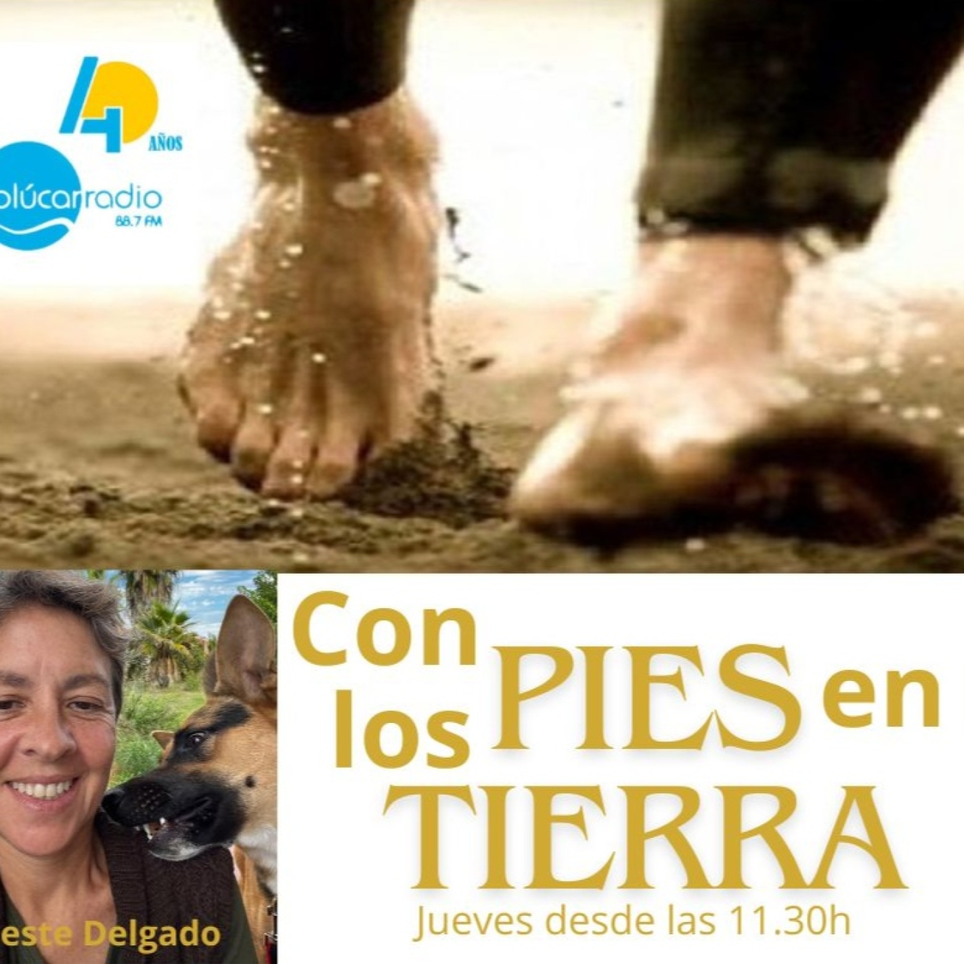 "Con los Pies en la Tierra" Celeste Delgado MEDIO AMBIENTE 7 Nov episode artwork