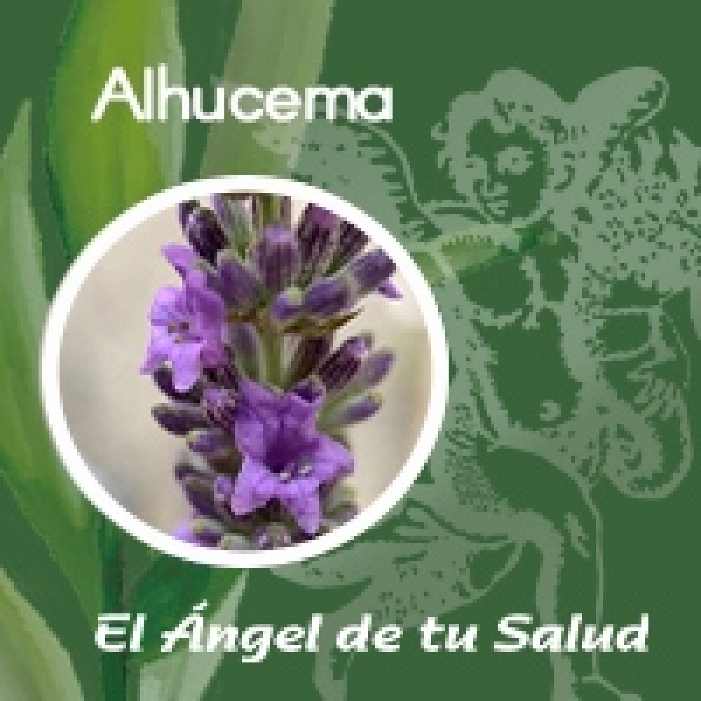 El Ángel de tu Salud - Alhucema ** episode artwork