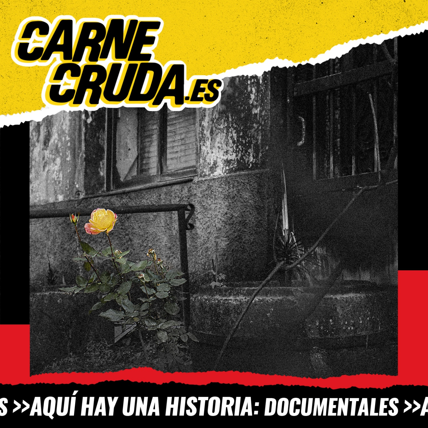 Megaincendios: por qué pasan y volverán a pasar (DOCUMENTALES - CARNE CRUDA #1127)