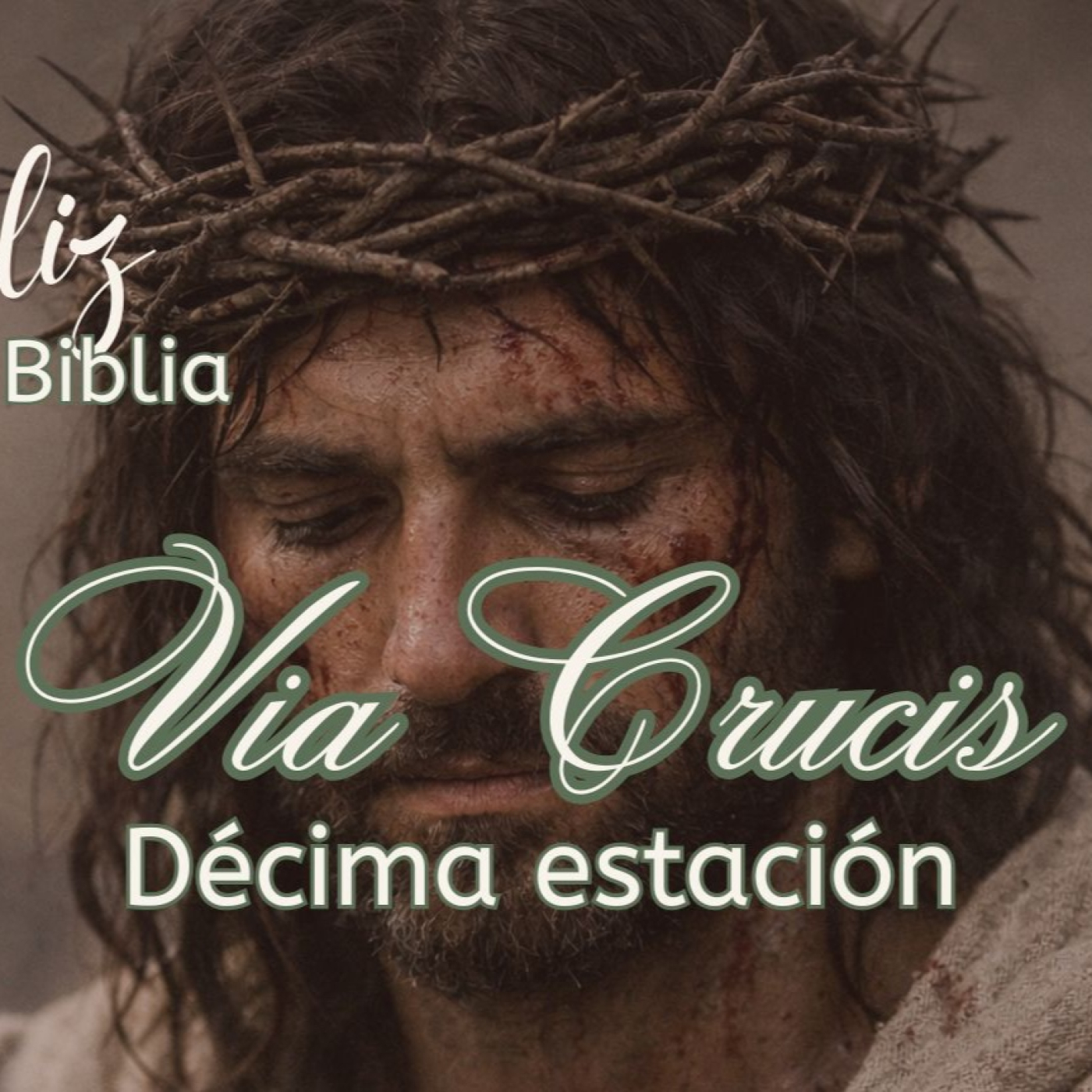 Rezamos el Via Crucis. Décima estación✝️ episode artwork
