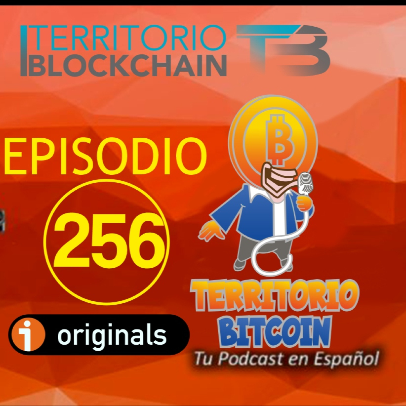 Conoce el Meridian Stellar de la mano de Vottun y Marta Vallés, que pasa con la ISO 20022 Ripple y Stellar episode artwork