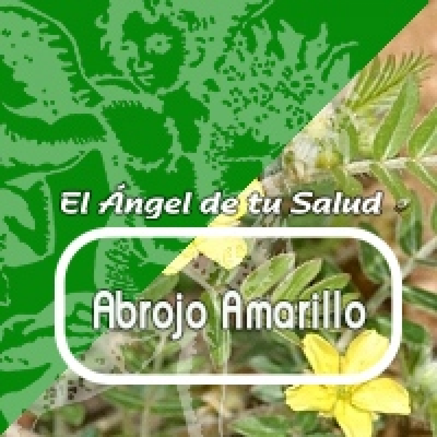 El Angel de tu Salud - ABROJO AMARILLO*****