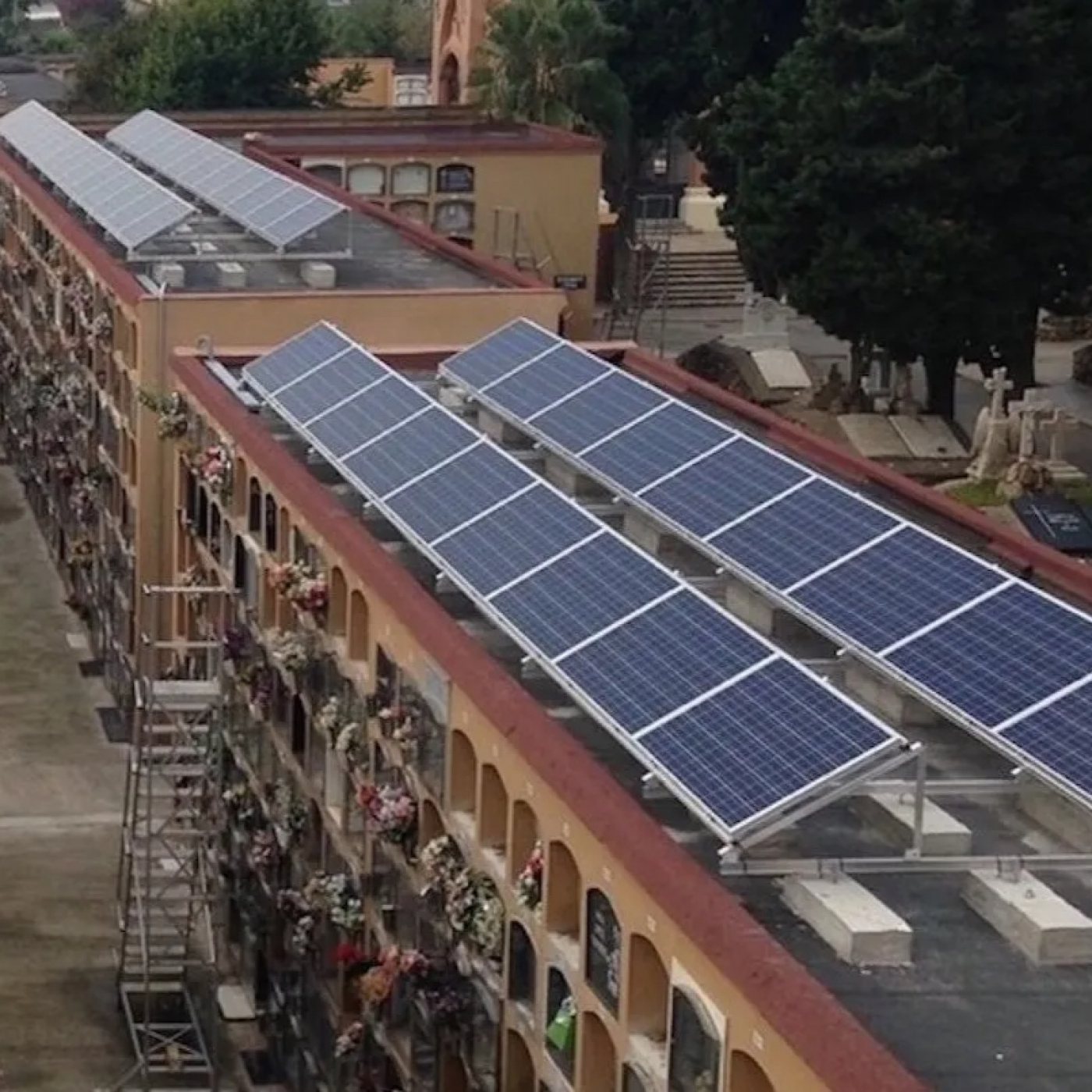 CIRCULO VERDE PODCAST