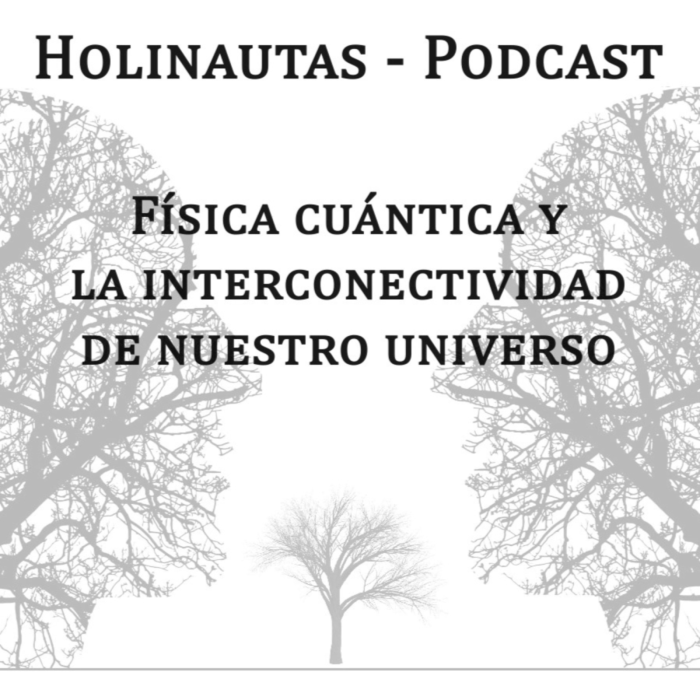 Holinautas