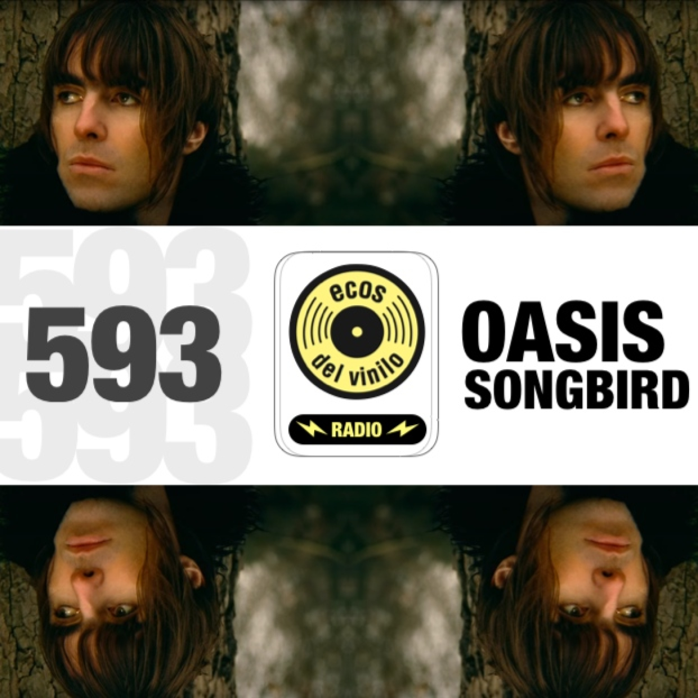 Ecos del Vinilo Radio
