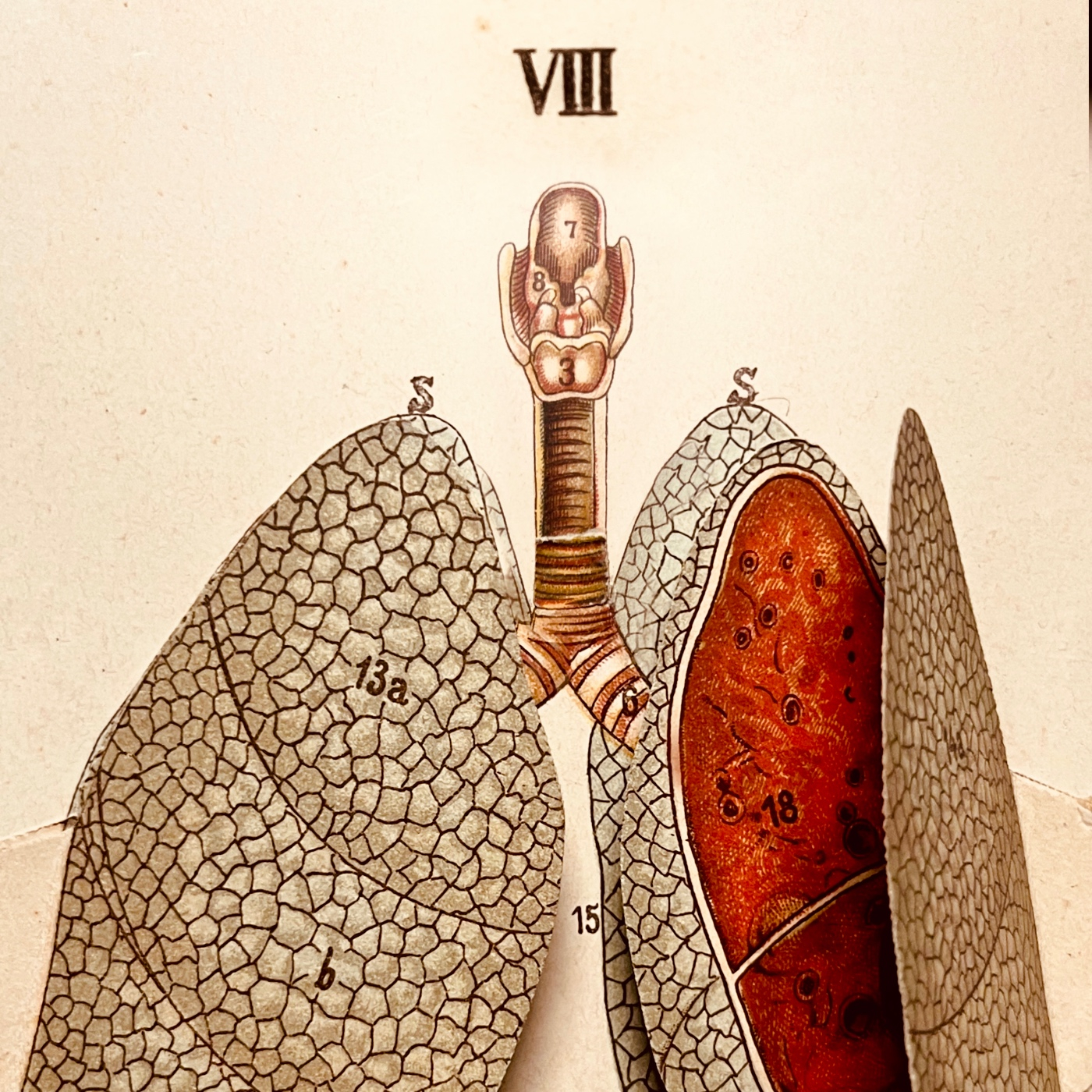 EPSA is Burning S27 E08 - Episodio exclusivo para mecenas