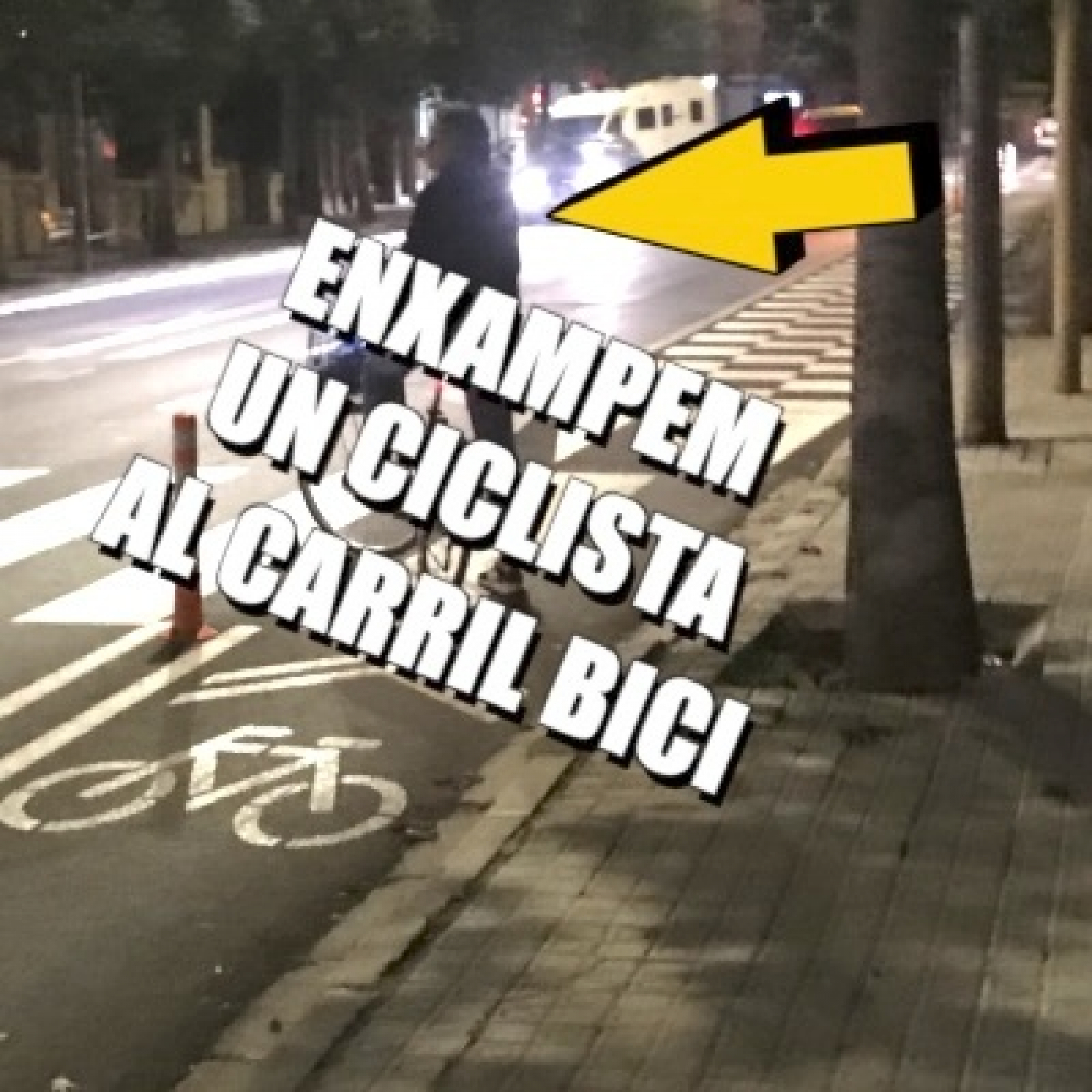 Trempera Matinera