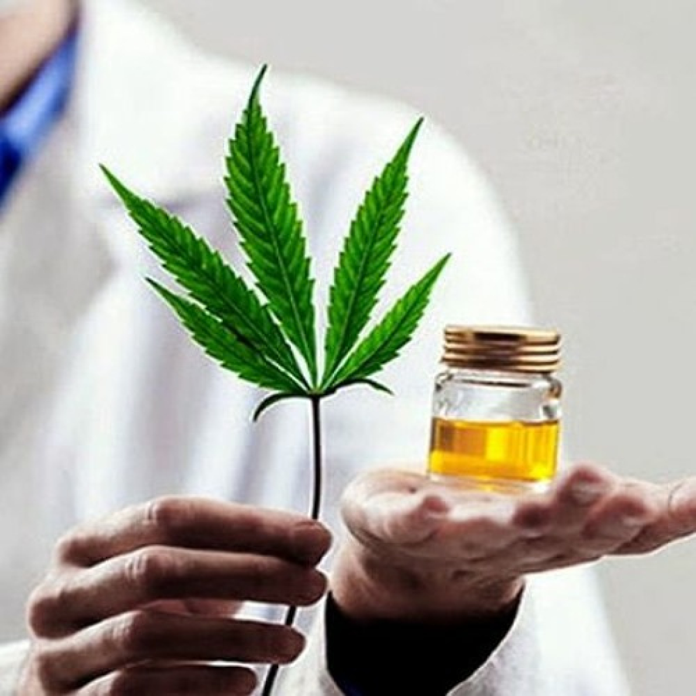 Bruno Hernández Cravero: Diplomatura en producción y regulación del cannabis episode artwork