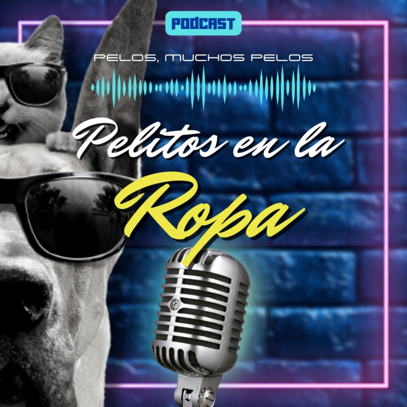 PELR: Pelitos en la Ropa