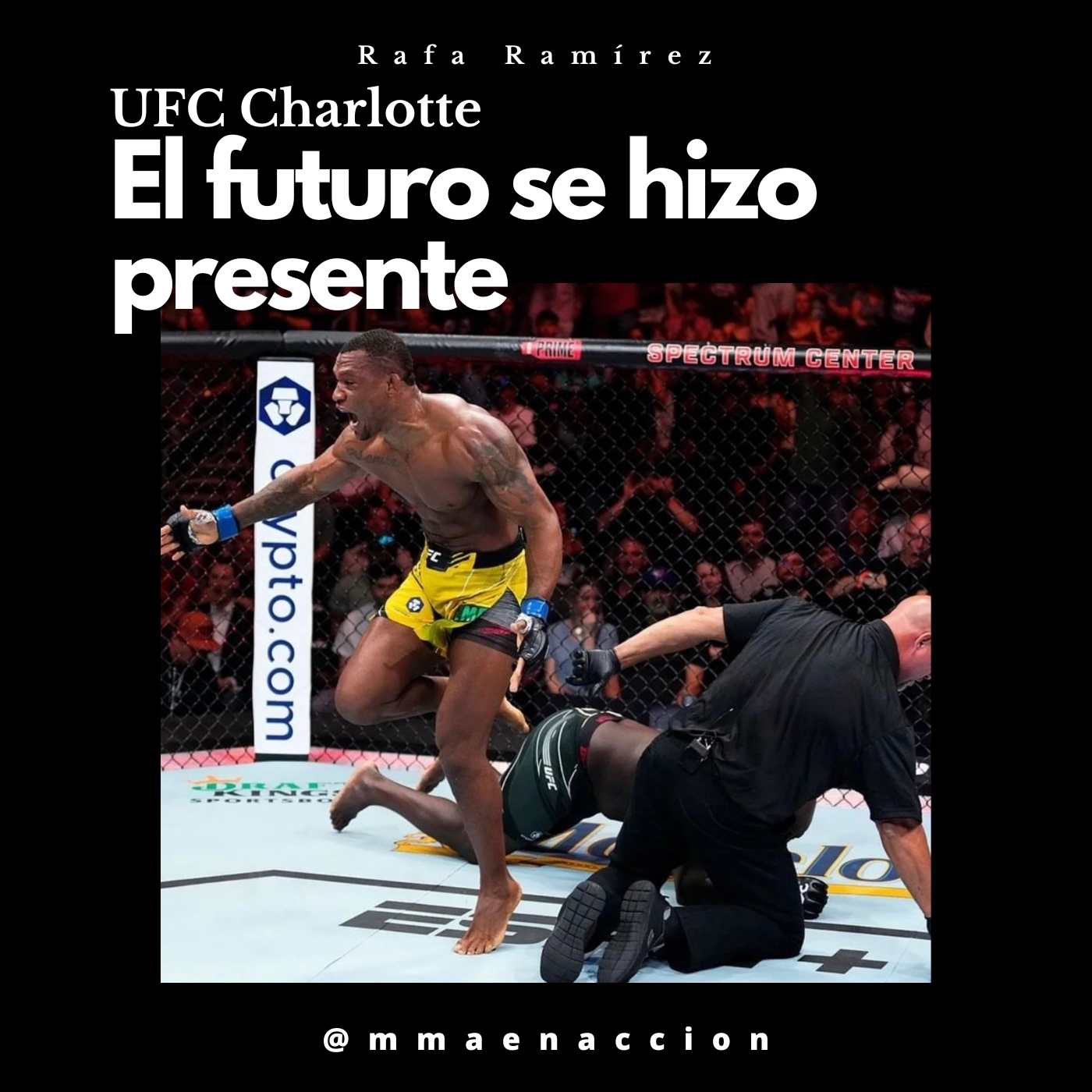 MMA en acción