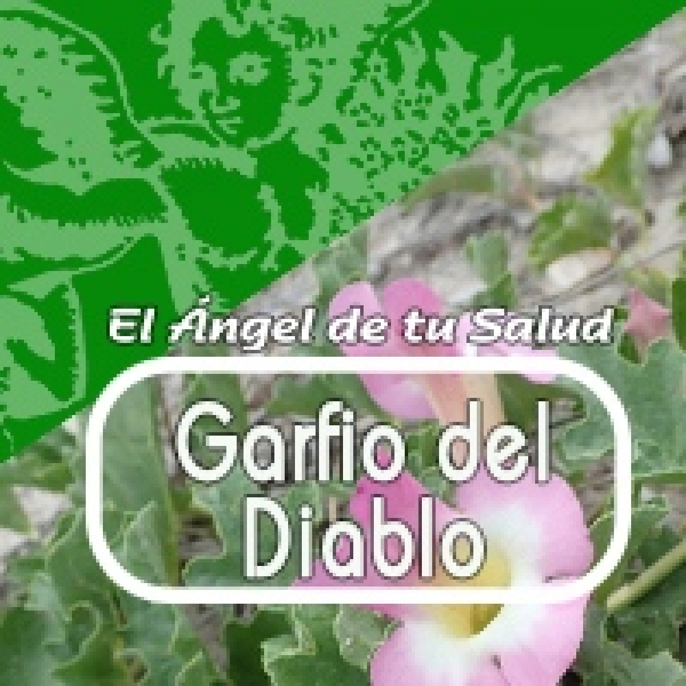 El Ángel de tu Salud - GARFIO DEL DIABLO** episode artwork