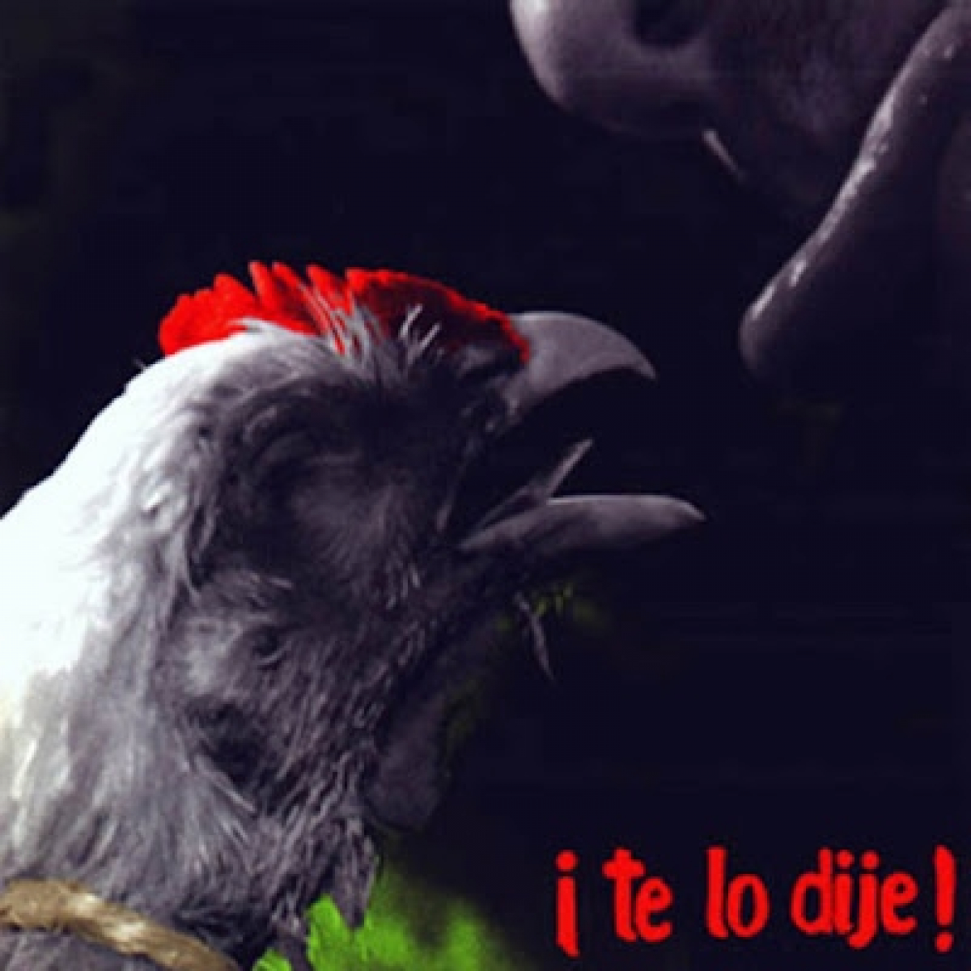 REINCIDENTES - ¡Te Lo Dije! 1997 episode artwork