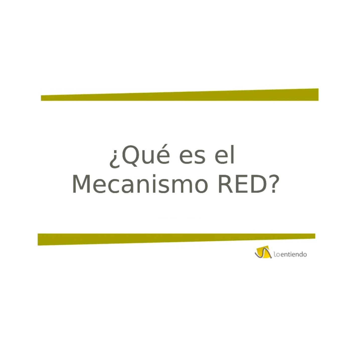 ¿Qué es el Mecanismo RED?