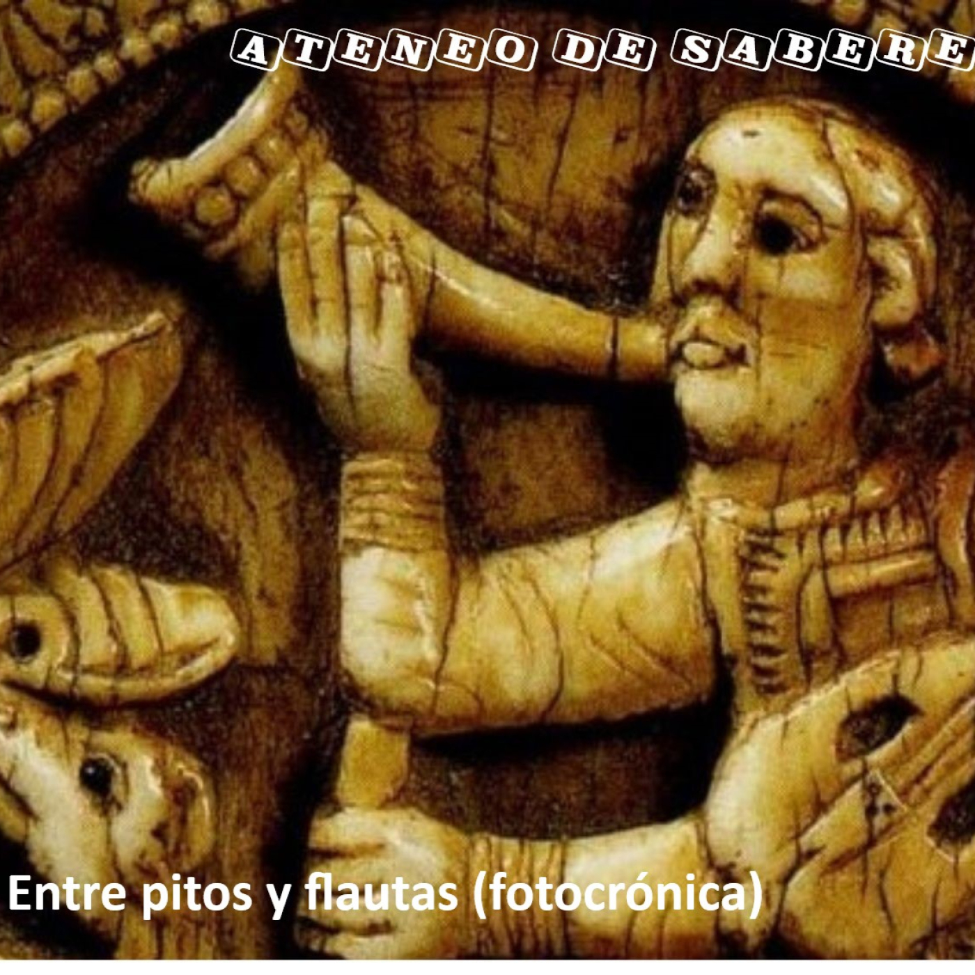 Instrumentos y melodías pastoriles (IMP)