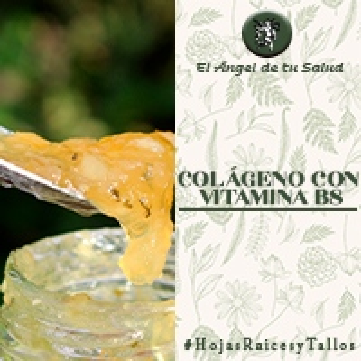 El Ángel de tu Salud - Colágeno con Vitamina B8**