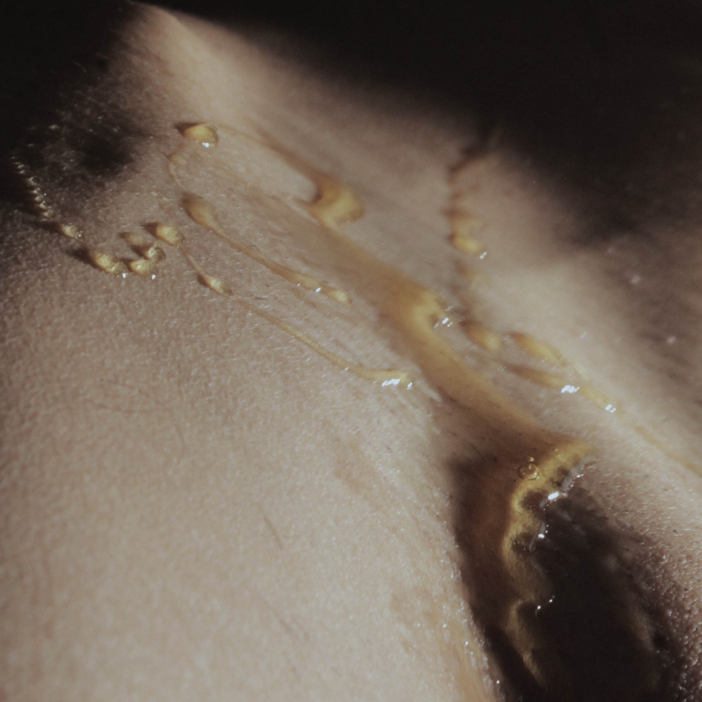 Relatos Eroticos del Gloton4you