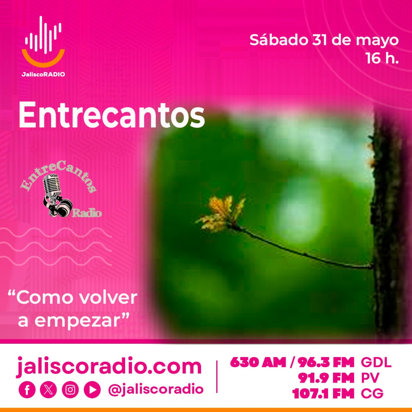 Programa Entrecantos 31 de mayo, 2025: "Como volver a empezar" episode artwork