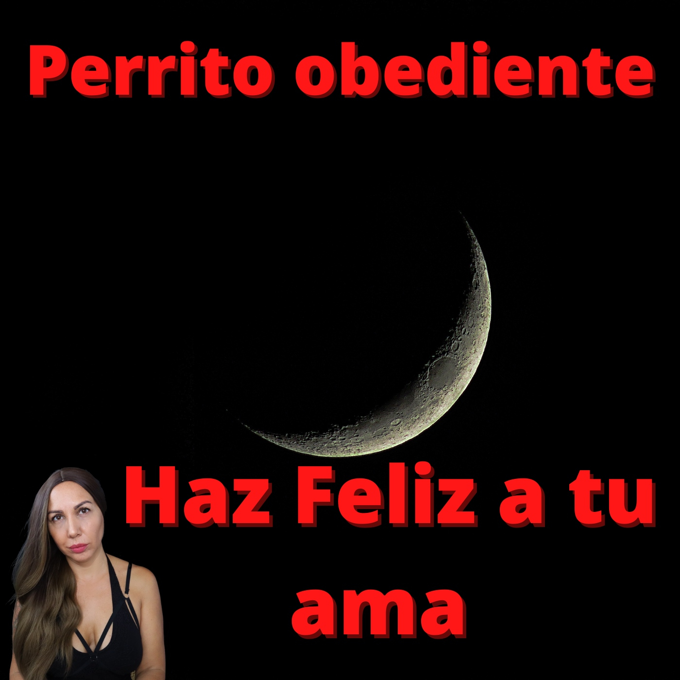 Perrito Obediente