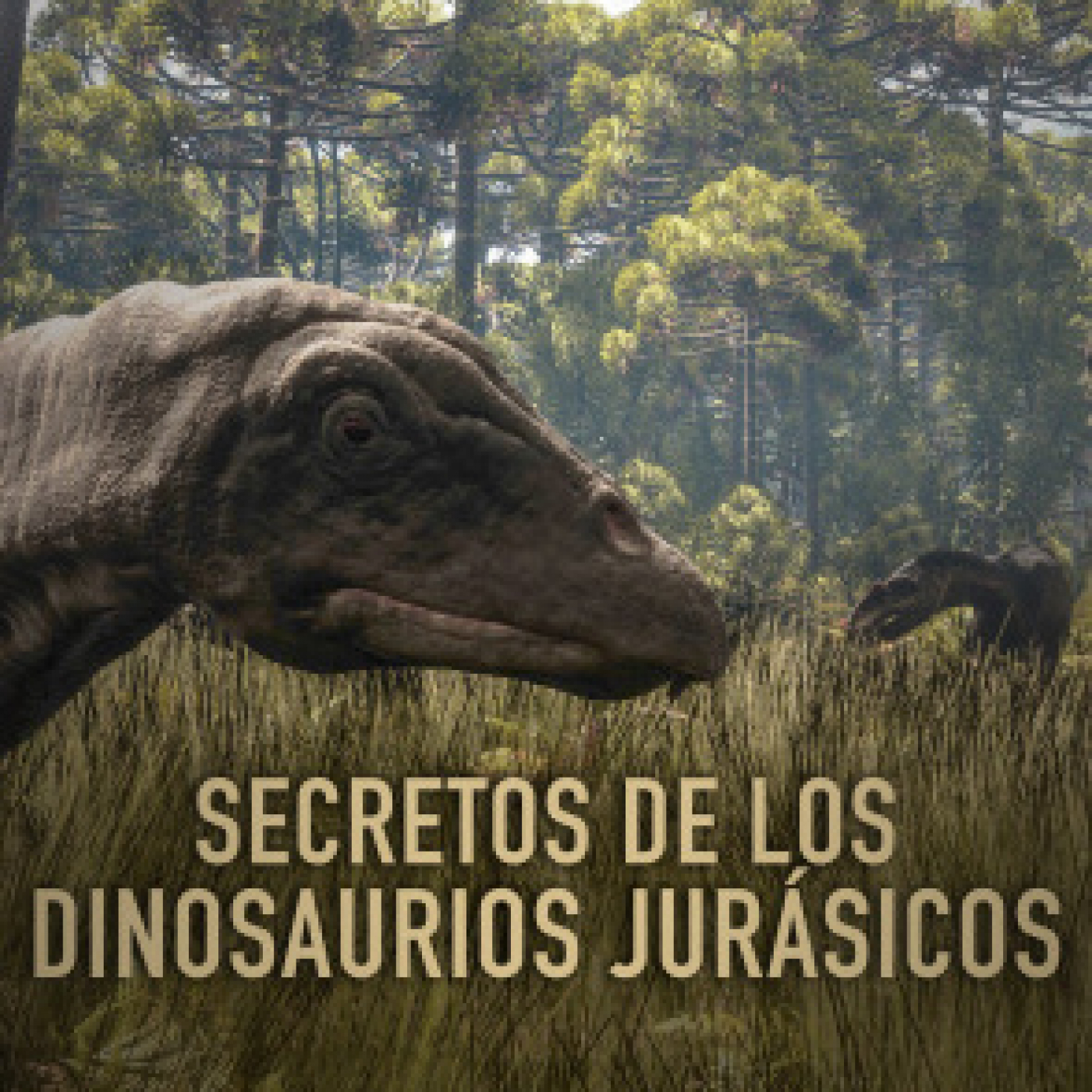 Secretos de los dinosaurios jurásicos