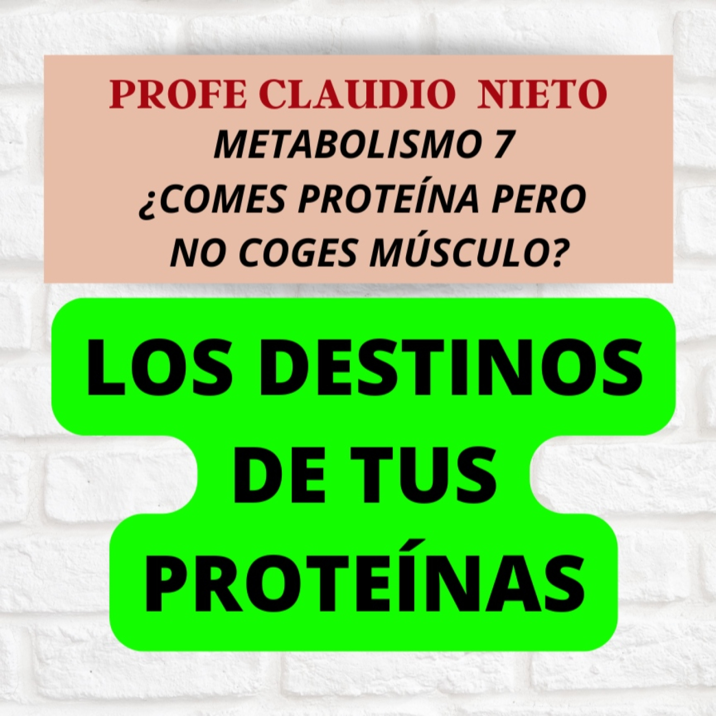 228. METABOLISMO 7: ¿Qué pasa con la PROTEÍNA que comes? (No todo va al MÚSCULO…)