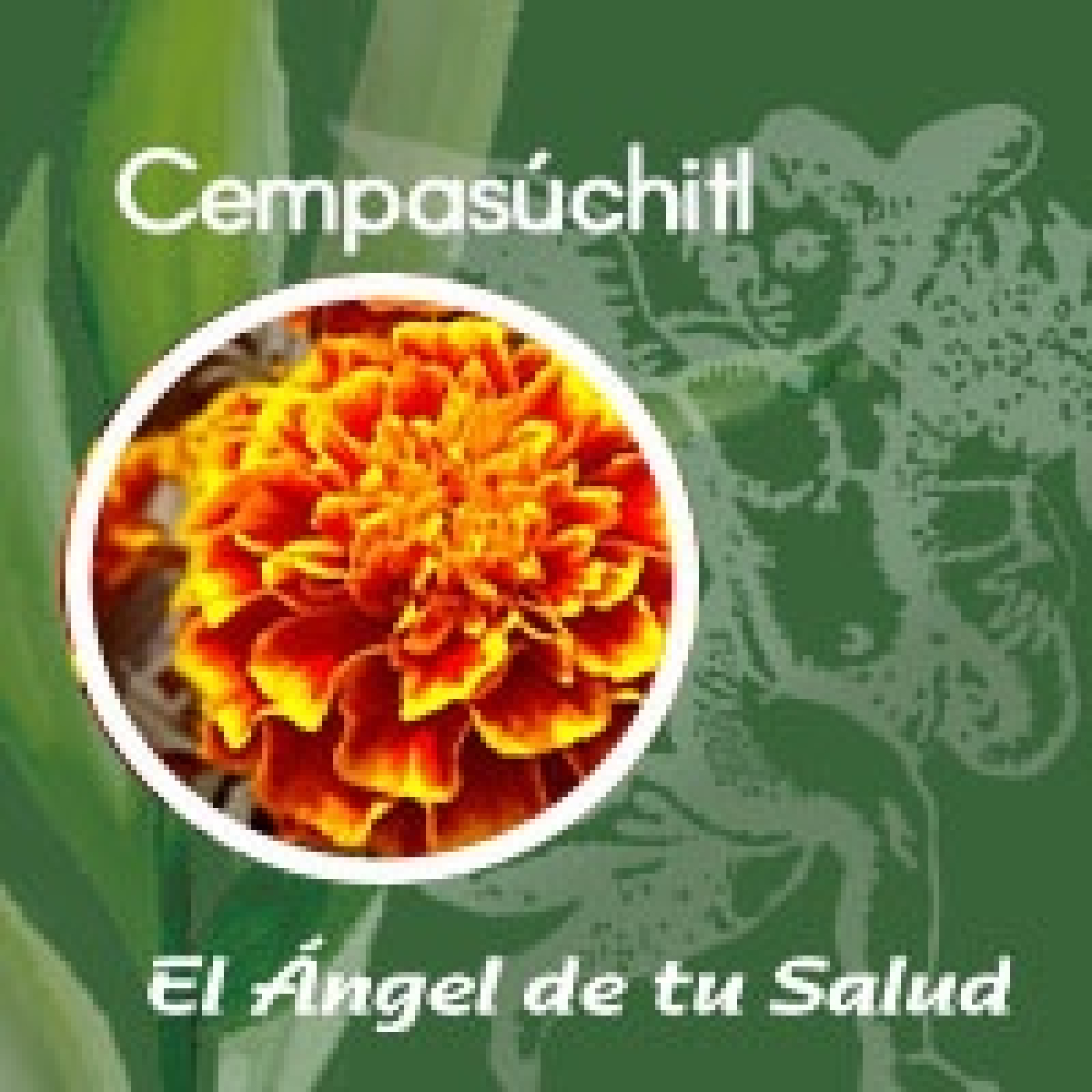 El Ángel de tu Salud - Cempasúchitl** episode artwork