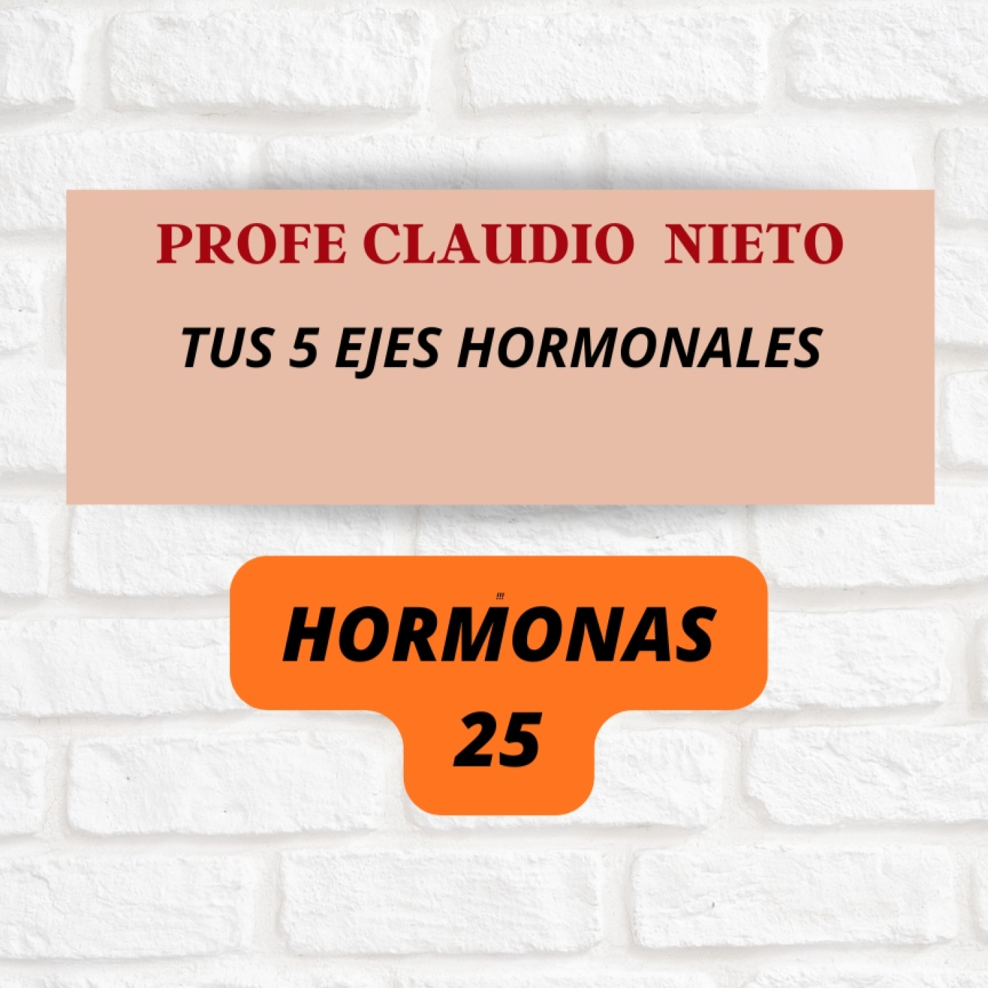 273.TUS EJES HORMONALES: la explicación más clara que vas a ver / Hormonas 25