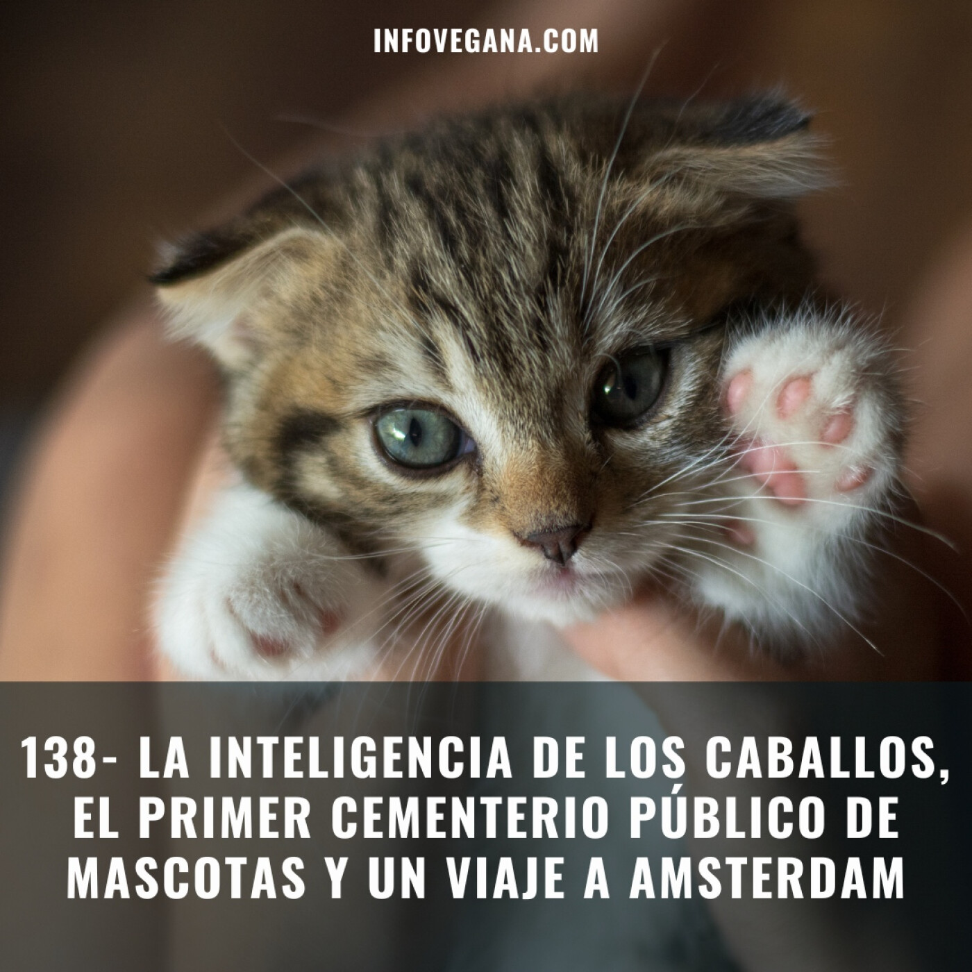 Infovegana, podcast de veganismo y sostenibilidad