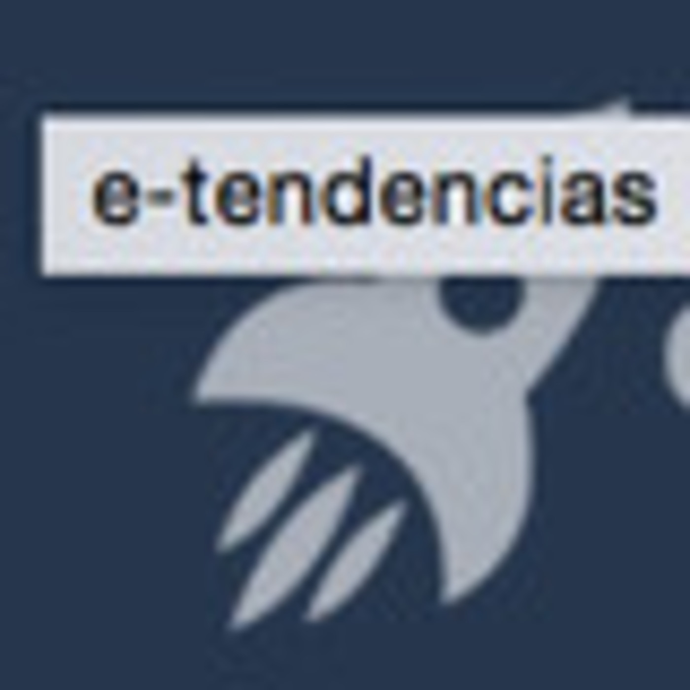 Vecdis Tecnogestion