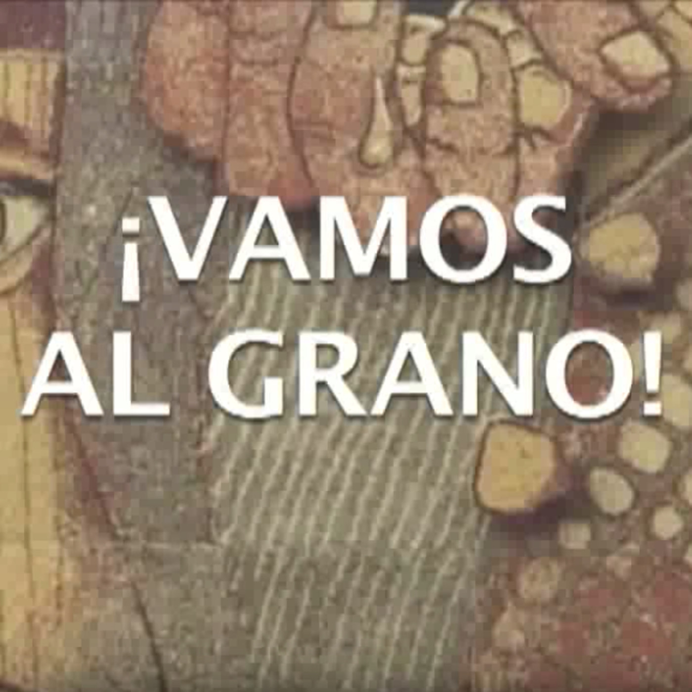 Vamos al grano. Cuidado con el maíz transgénico.
