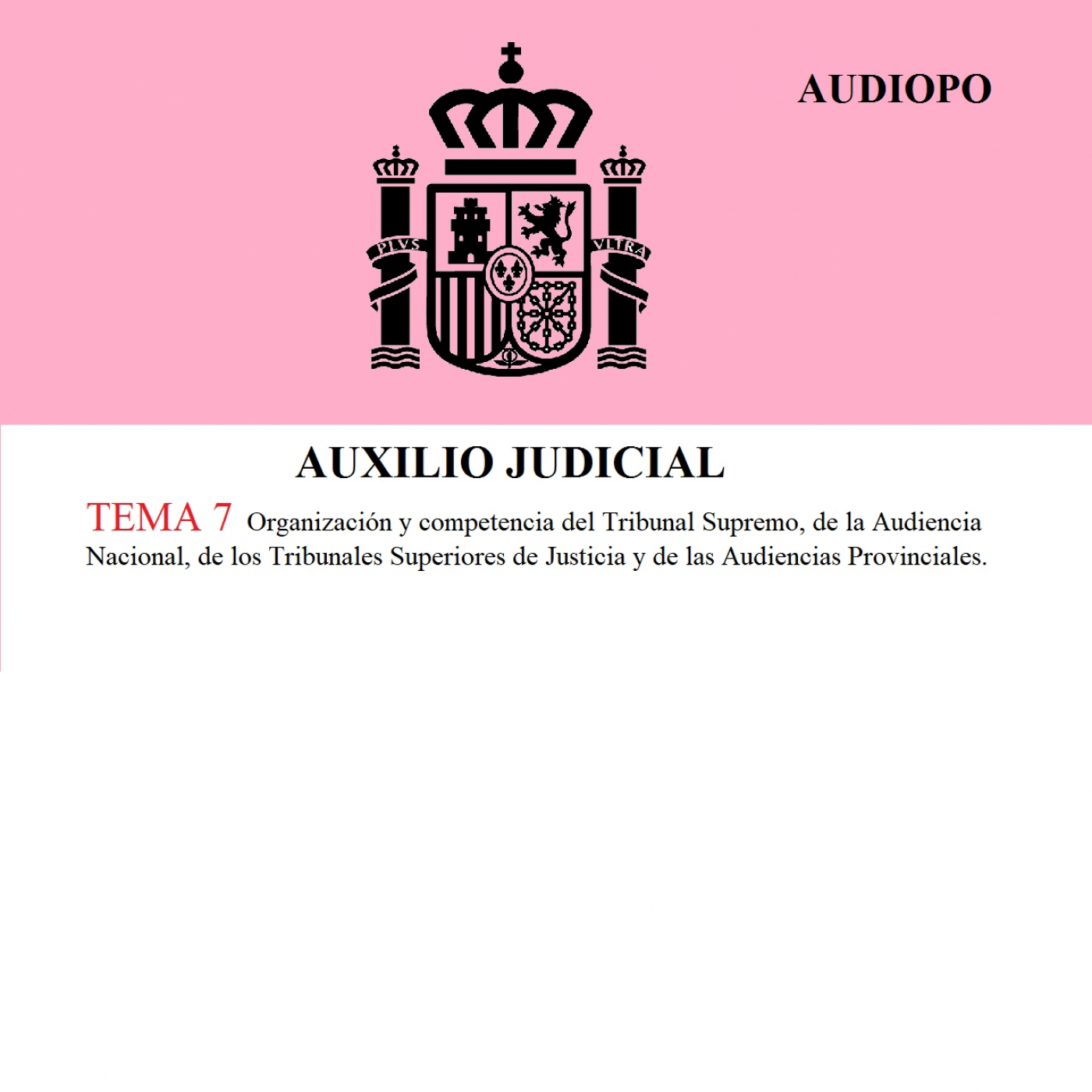AUDIOPO - Audiotemarios y audioleyes -