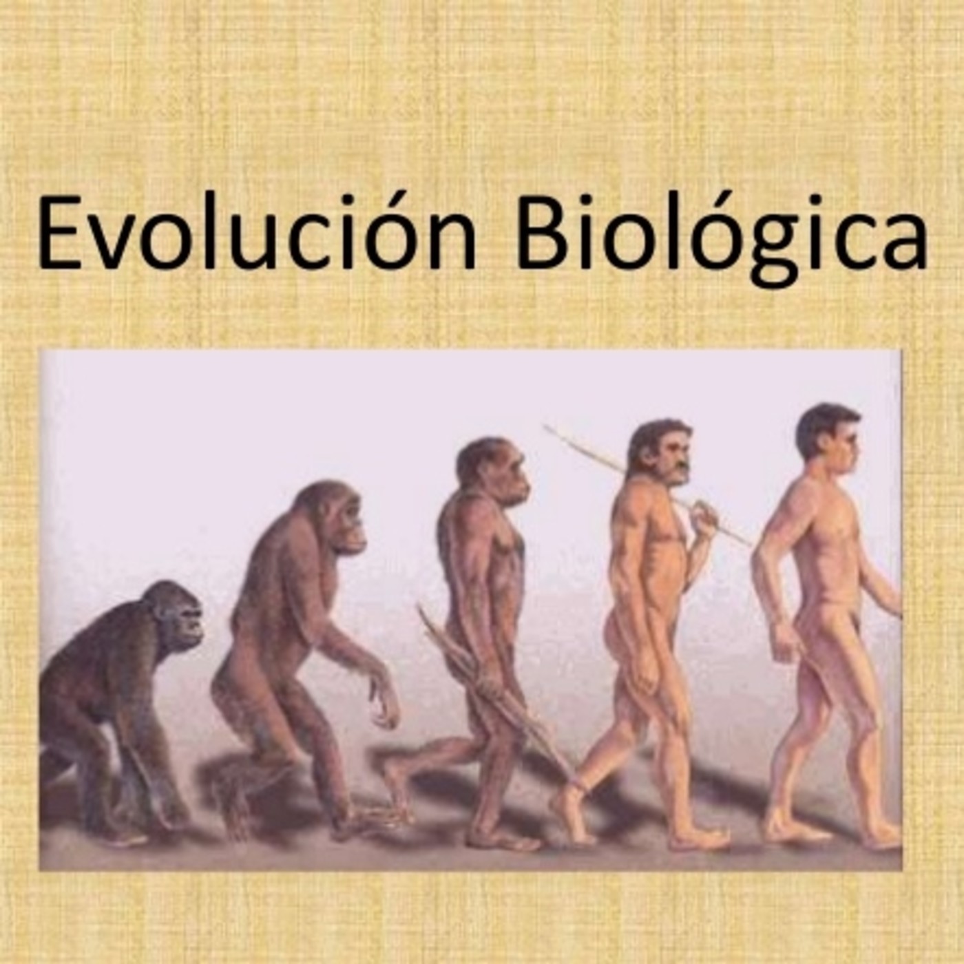 FILOSOFÍA NO EXCLUYENTE