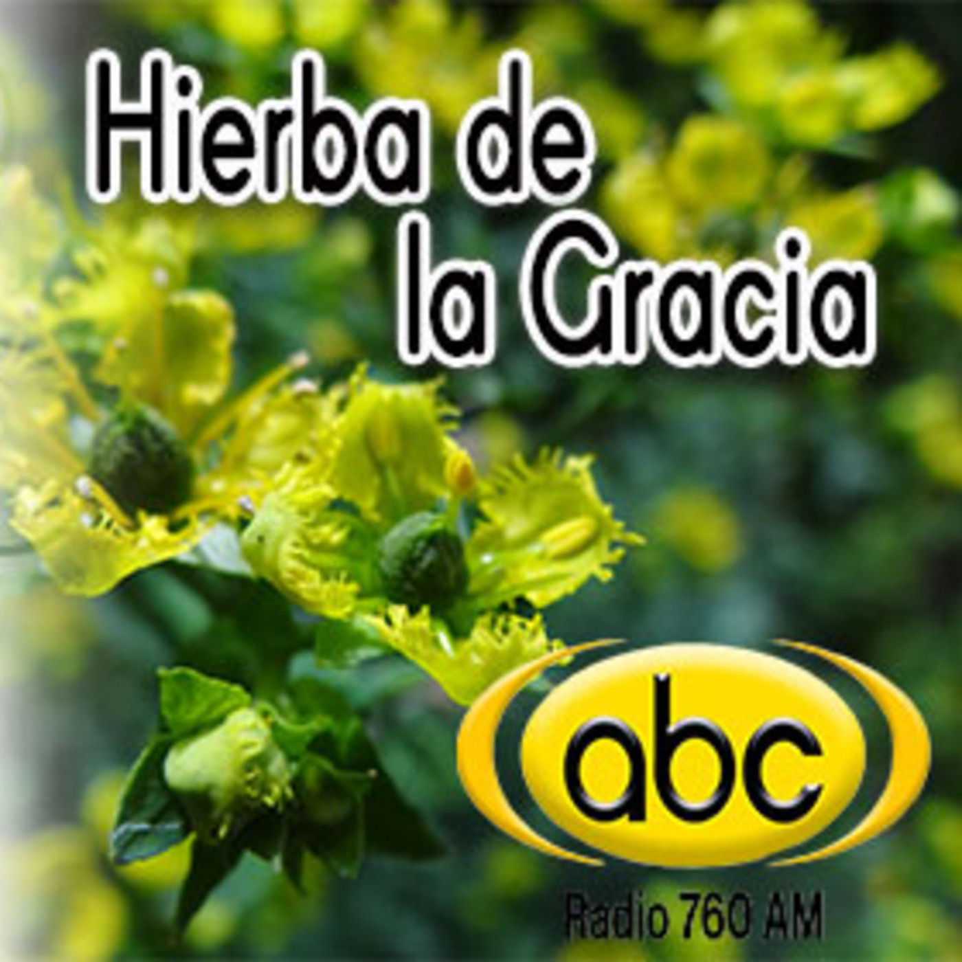 El Ángel de tu Salud - HIERBA DE LA GRACIA 1 episode artwork