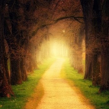 Budismo práctico: Fantasías y realidades del camino espiritual