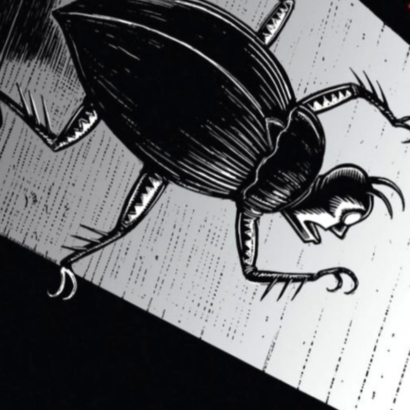 Relatos de terror Macabra Visión