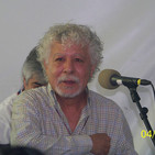 embed image