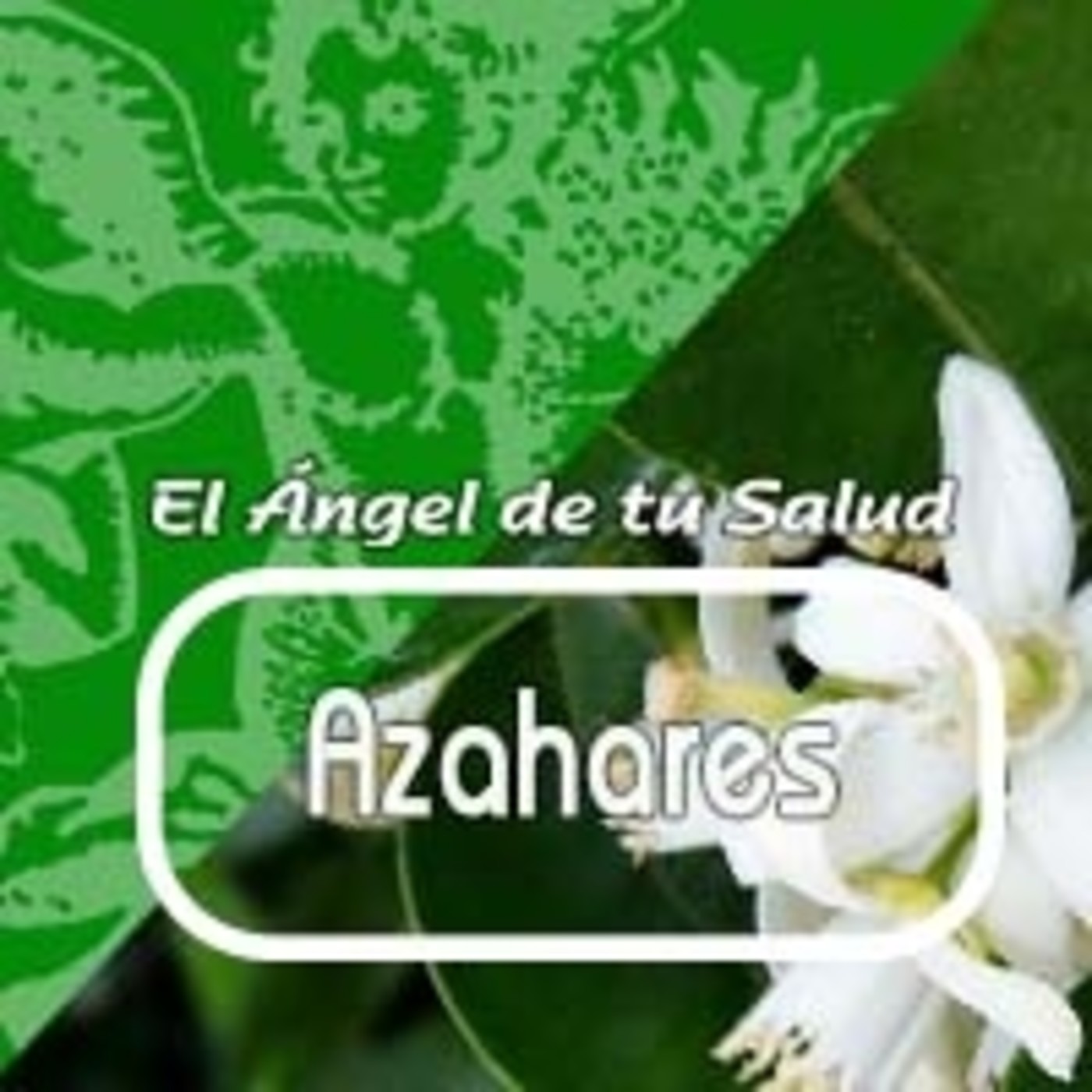 El Angel de tu Salud - AZAHARES **** episode artwork