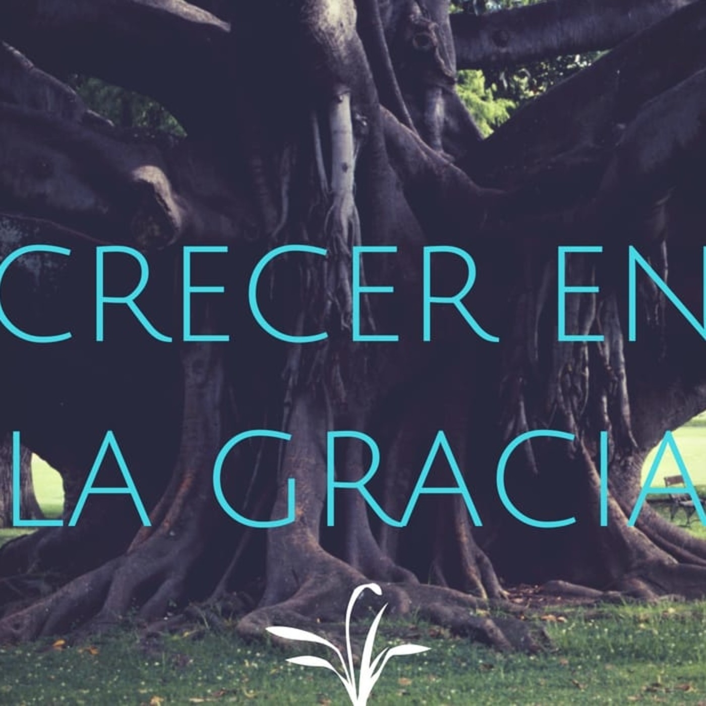 Crecer en la Gracia 16 Pacto de Libertad - Pastor Kenneth Solá episode artwork