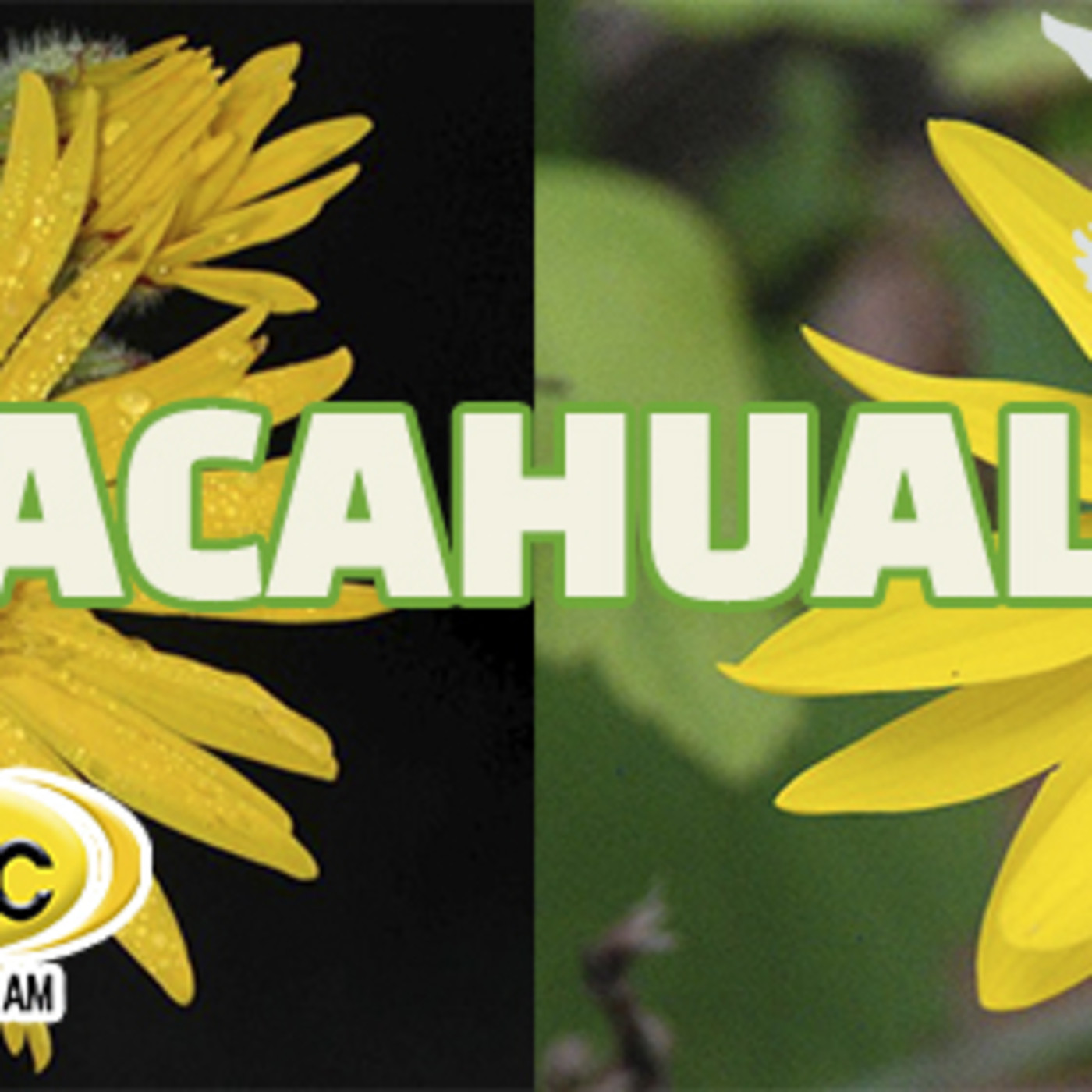El Ángel de tu Salud - ACAHUAL episode artwork